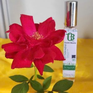 z6027624590078 c734601d91310dda87407c78486a416c 1