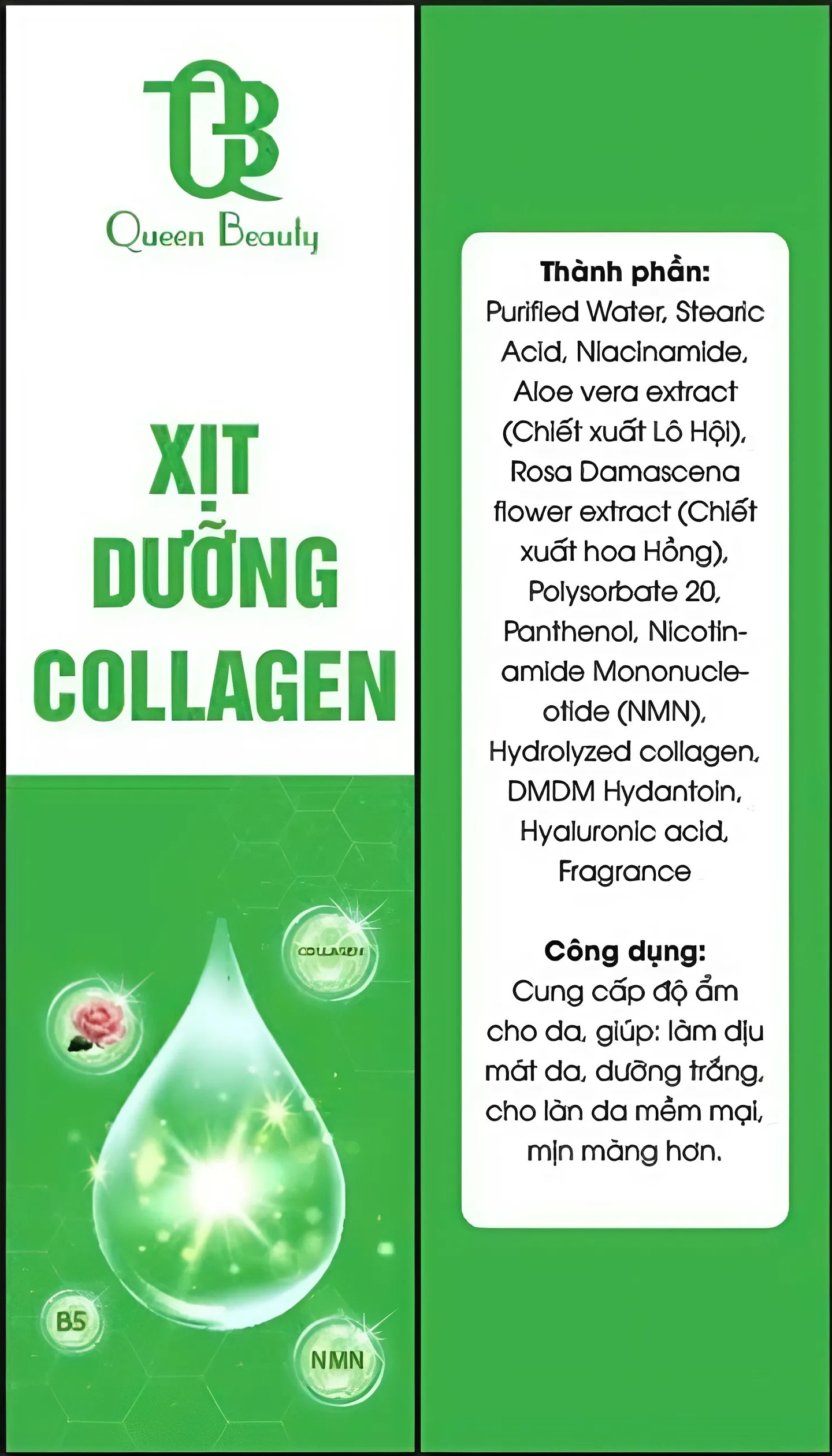 Betterimage.ai 1735306701995